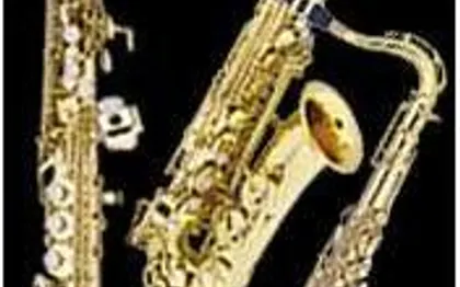 Photo de Saxophoniste Accordeoniste de Toulon - Var