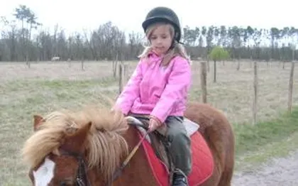 Photo de Animation itinérante poney - Loire-atlantique - FESTI PONEY