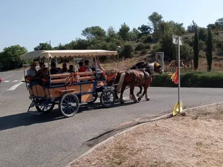Location de Calèche - Les crins de Gaïa / Forcalquier
