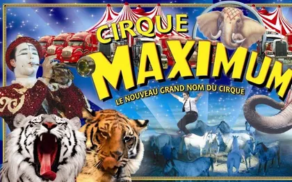 Photo de Cirque MAXIMUM - FRANCE ENTIERE