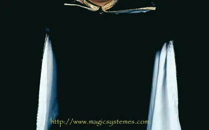 Photo de MagicSysteM - DJ - MAGICIEN - SCULPTEUR DE BALLONS - TOULOUSE 