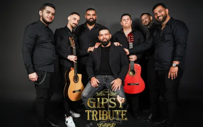Photo de Gipsy Tribute - Musicien Marseille, Aix-En-Provence 