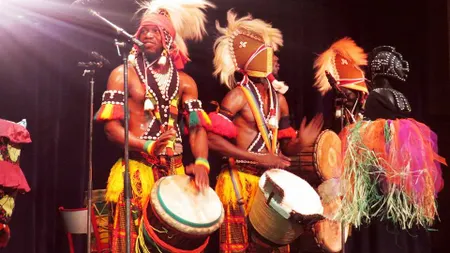 Wim Percussion "les professionnels de la percussion"
