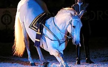 Photo de L'hacienda - Spectacle EQUESTRE  - VAR  - BELGENTIER