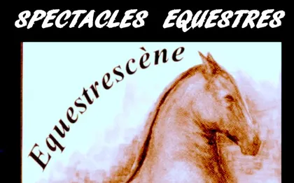 Photo de Equestrescene spectacle equestre / Saint Mars du Desert