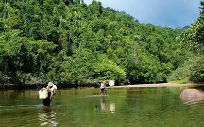 Photo de GITE PAPAVELO -  AMBOSITRA 