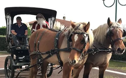 Photo de ASSOCIATION LES ATTELAGES LANDAIS - Animations en calèche / Landes