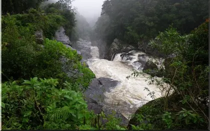 Photo de KARIBOTEL RANOMAFANA - FIANARANTSOA