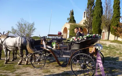 Photo de Les Calèches de Mado, Location de Calèche / BOUCHES DU RHONE 