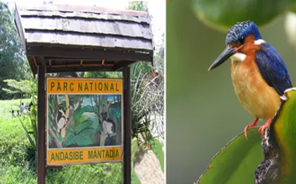 Photo de Agence de voyage : CREATTOURS & VOYAGES / Tananarive