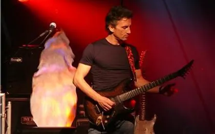 Photo de LONDON - ORCHESTRE VARIETE - ROCK  DU SUD DE LA FRANCE