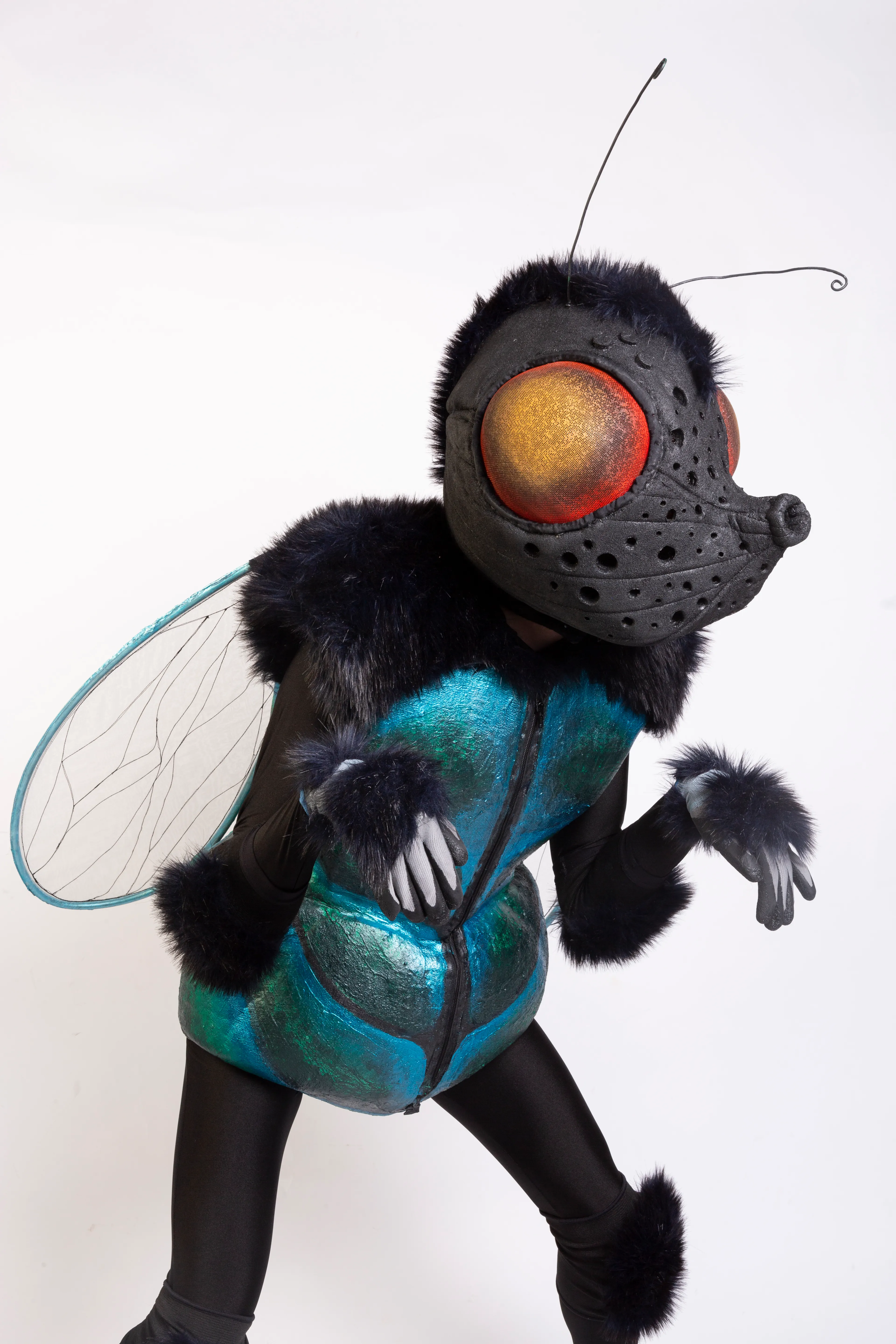La MOUCHE !