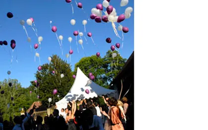 Photo de Com'une Orchidée - Agence événementielle à Paris