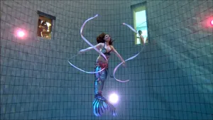 Spectacle en bassin vitré avec accessoires ( ex : rubans de soie) !
Crédit photo : Jean-Luc casares