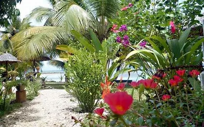 Photo de Villa Kintana - SAINTE-MARIE