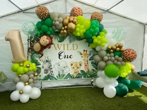 Ballons guirlande Anniversaire Villeneuve les Avignon