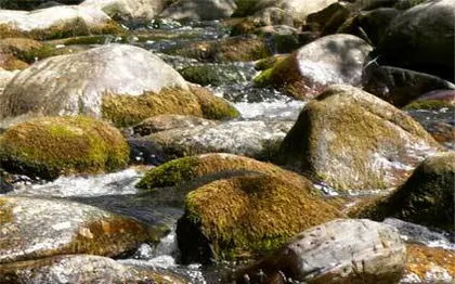 Photo de les chemins du son