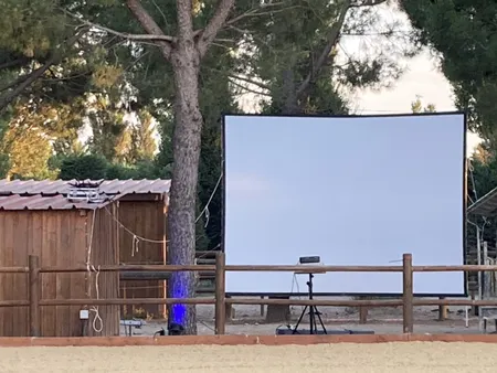 Animation Quizz, Soirée à Thème entreprise team building/MARSEILLE