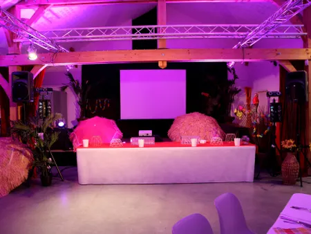 Animation DJ Mariage / Seine-et-Marne, Nemours, Montargis