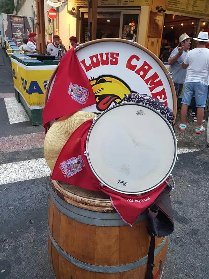 Nos meilleurs amis....les z'instrus....