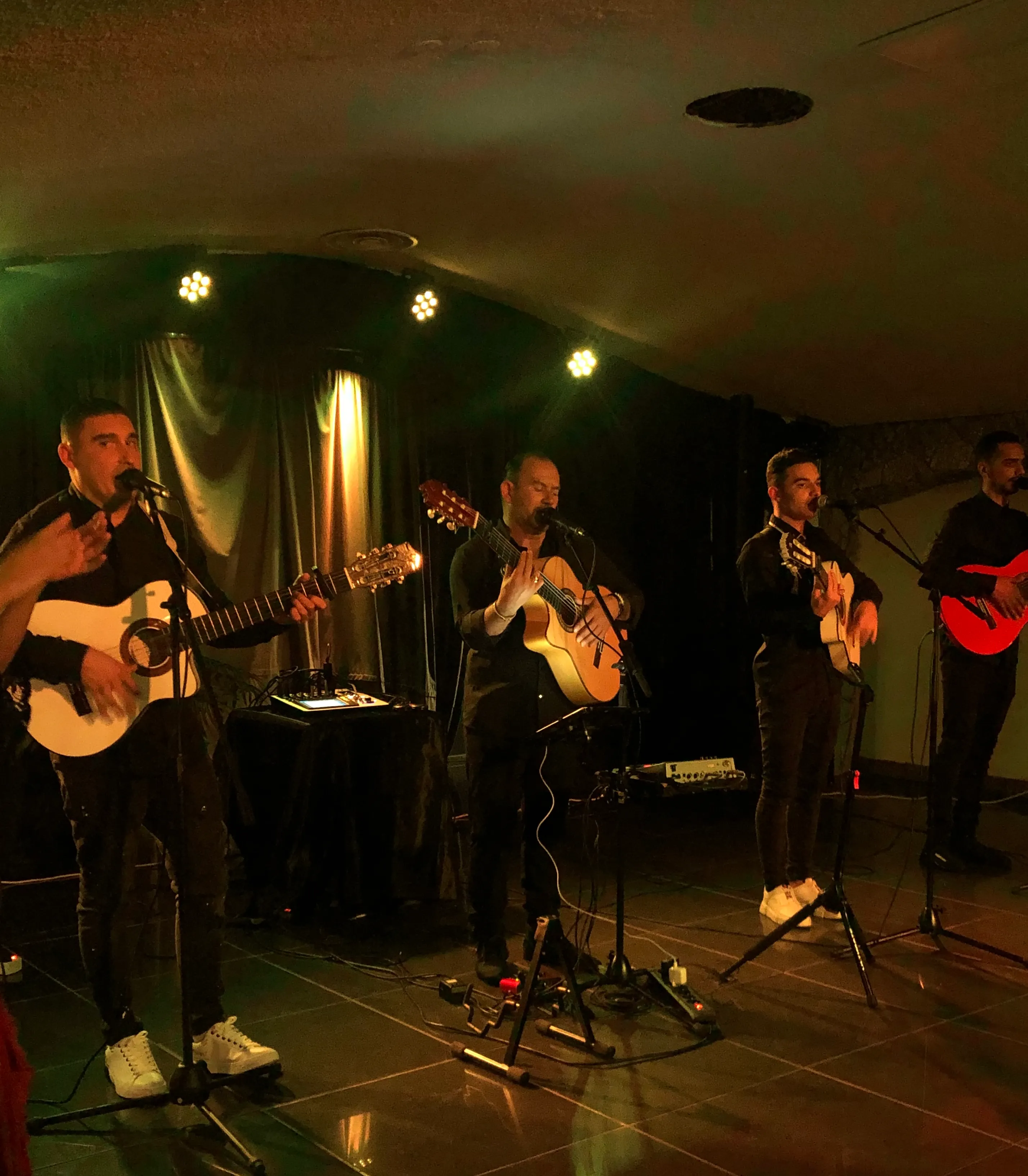 Le groupe gipsy à GRENOBLE