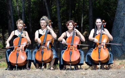 Photo de Quatuor  de Violoncelle - OMACELLO - VAR - OLLIOULES