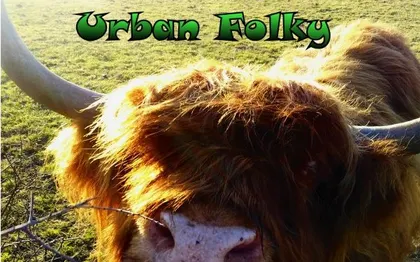 Photo de Urban folky - rock celtique