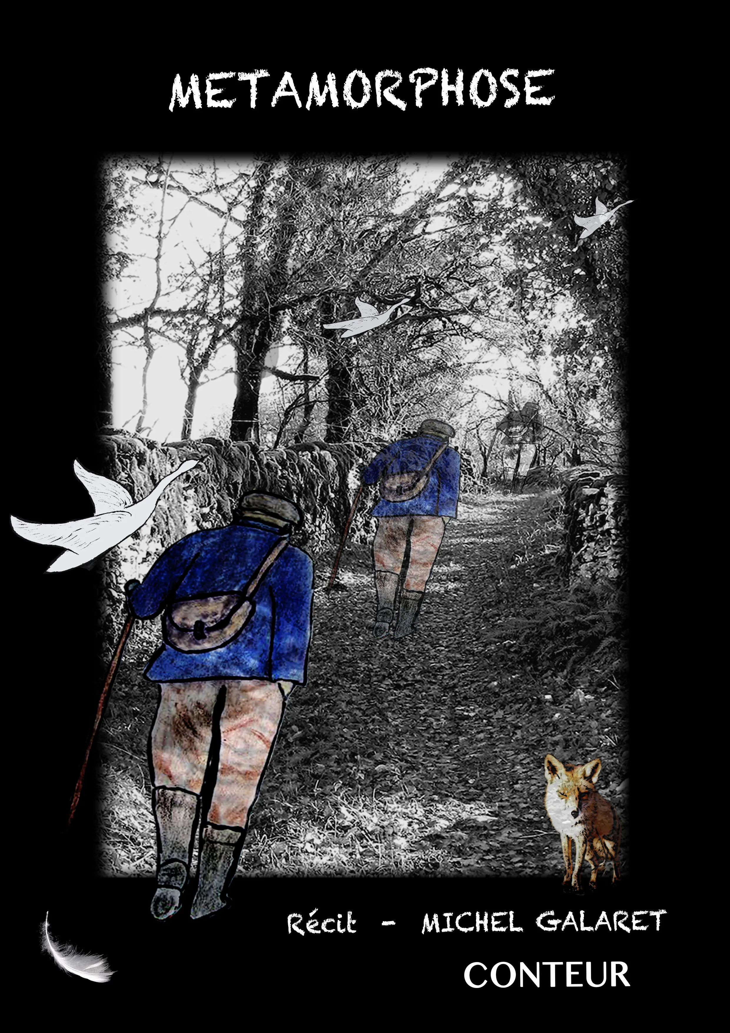affiche "Métamorphose"