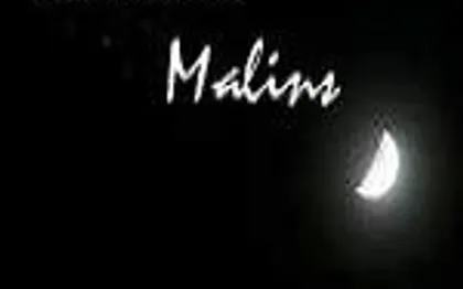 Photo de Les Vents Malins 
