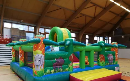 Photo de Ludipro Location de Jeux Gonflables / NORD