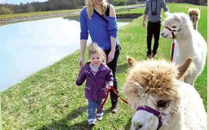 Photo de Les Alpagas et Lamas de Madame Dupont