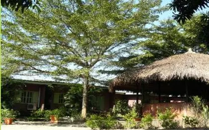 Photo de Le Raphia Guest House - Pointe-Noire - Congo