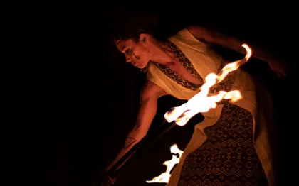 Photo de Flamma spectacle de feu