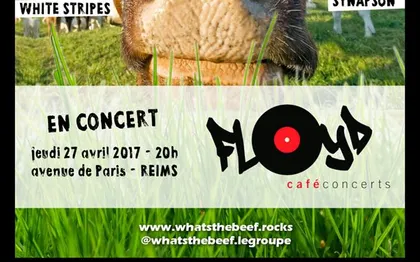 Photo de Pizziks Groupe Pop/Rock/Folk / REIMS