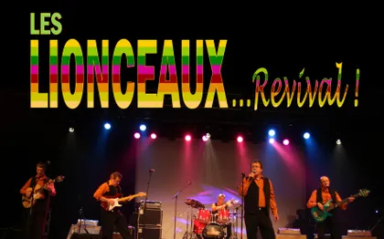 Photo de LES LIONCEAUX - Groupe de Rock Français 