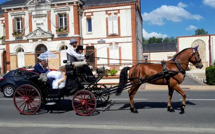 Photo de Attelage de la gazelle - Location de Caleche - SEINE ET MARNE