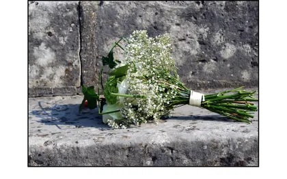Photo de Photographe Mariage - Seine Maritime - sarl photo mobil 76