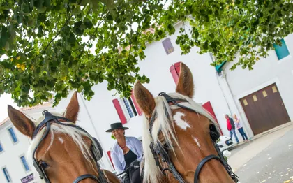 Photo de Autrot'Mant : LOCATION DE CALECHES / LANDES