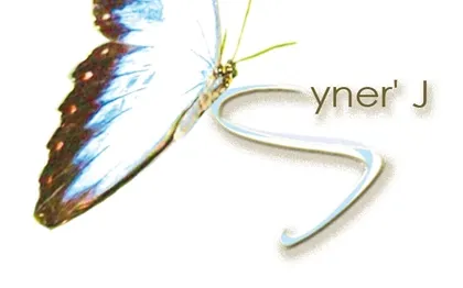 Photo de Agence Syner J