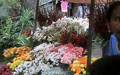 Photo de Maeva Bungalow - Tamatave