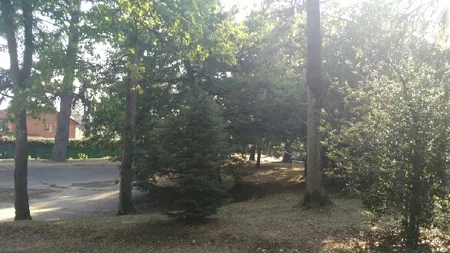 Compagnie TOUT CONTE FAIT Spectacles, animations tout public / Rhône