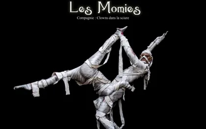 Photo de Clowns dans la Sciure de Toulouse - Carcassonne