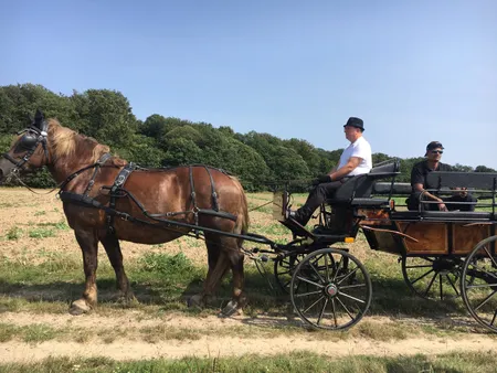 Les Attelages du Guildo, Location de Calèche IDF, 28, 45,