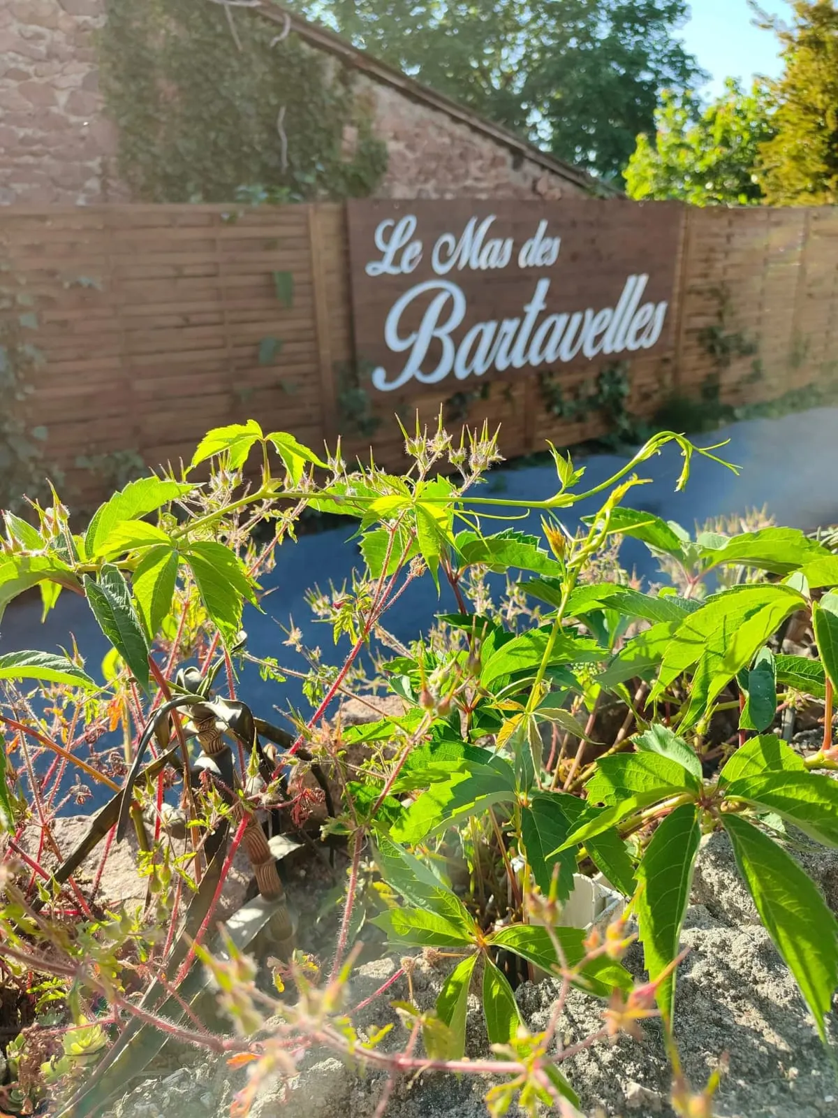 ENTRÉE MAS DES BARTAVELLES