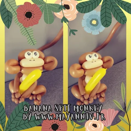 MAYANIM Animations Spectacles Anniversaires Décorations de fête