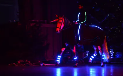 Photo de Nicolas Trouillet Horse Show, Spectacle Équestre - Rhône Alpes