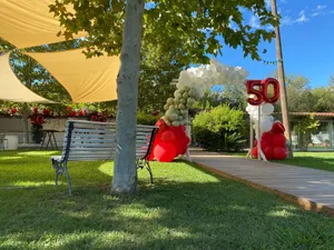 Décoration ballon Manade Boch - Lunel