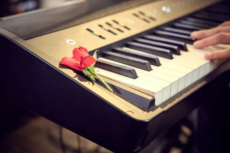 Charlie Piano, Pianiste Chanteur / Lille - Nord 