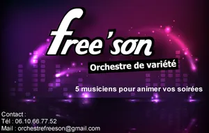 Orchestre Free'son - prestation pop rock live