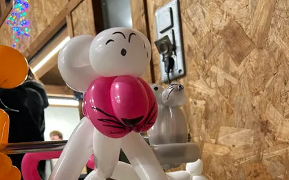 Photo de Vio animations